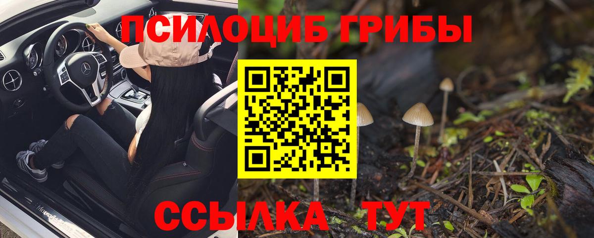 Галлюциногенные грибы MAGIC MUSHROOMS  Вход с VPN  Богданович 